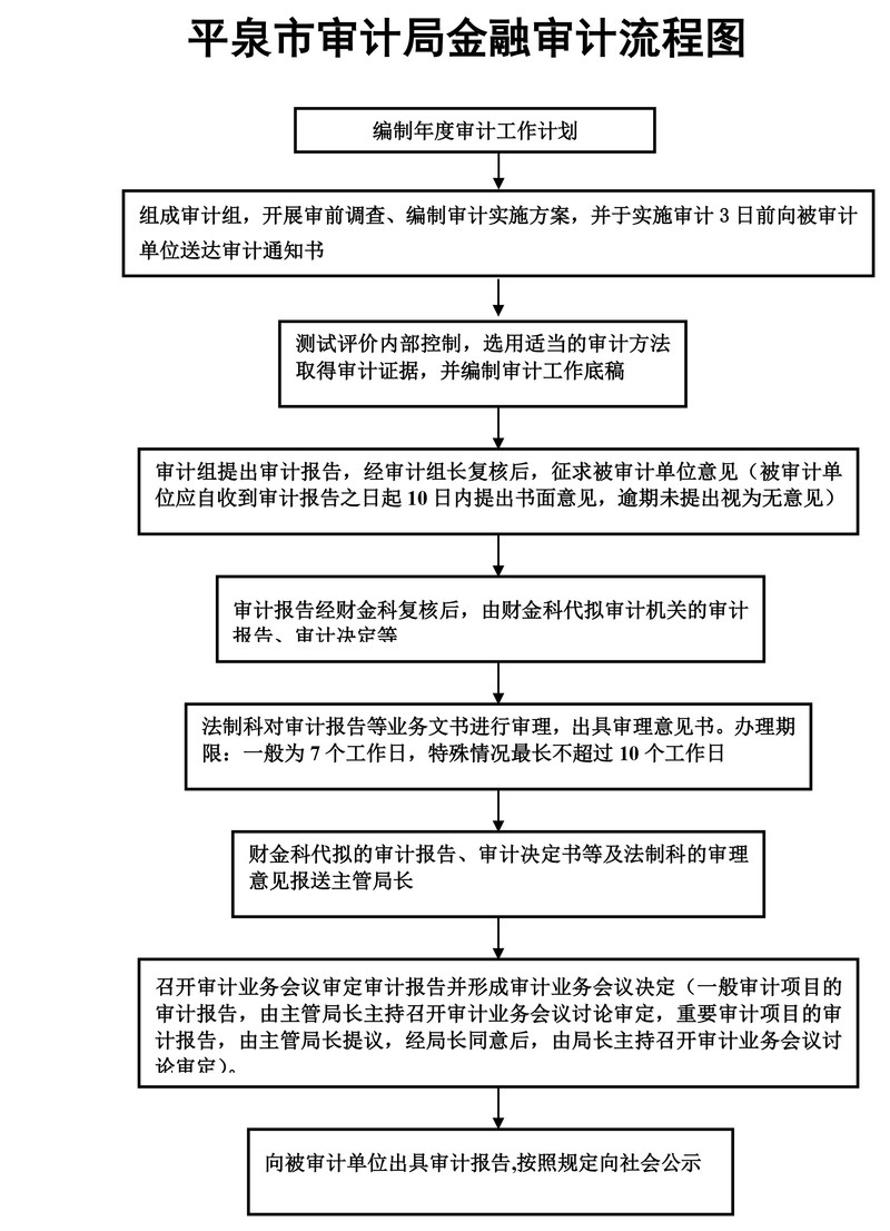 金融审计流程图.jpg